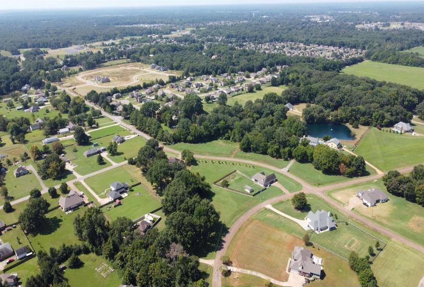 175 BRADMEADOW LN, Somerville, Tennessee 38068, 0 , 0 ,0,Land,For Sale,BRADMEADOW,0,10228901