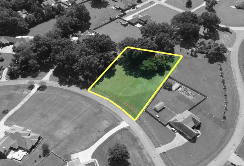 175 BRADMEADOW LN, Somerville, Tennessee 38068, 0 , 0 ,0,Land,For Sale,BRADMEADOW,0,10228901