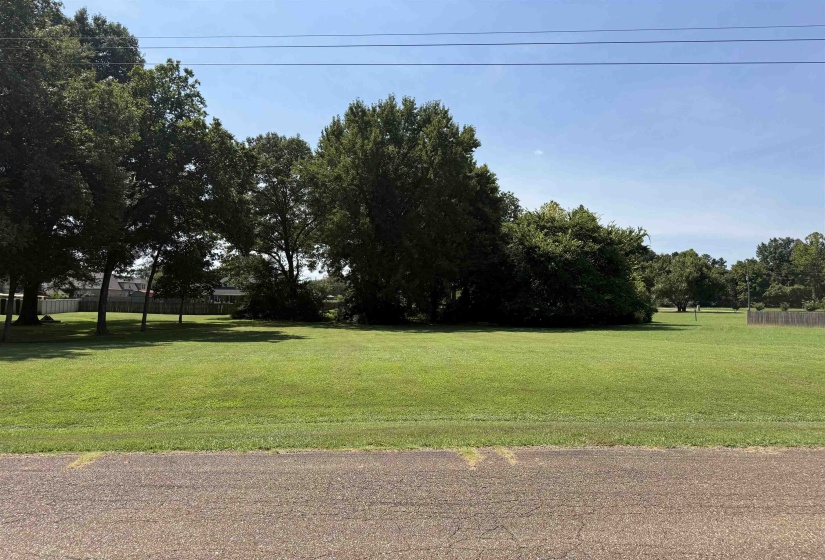 175 BRADMEADOW LN, Somerville, Tennessee 38068, 0 , 0 ,0,Land,For Sale,BRADMEADOW,0,10228901