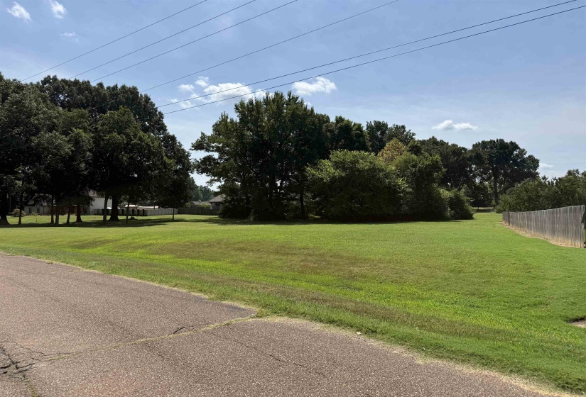 175 BRADMEADOW LN, Somerville, Tennessee 38068, 0 , 0 ,0,Land,For Sale,BRADMEADOW,0,10228901
