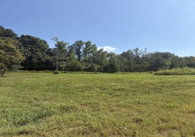001 HANCOCK RD, Ripley, Tennessee 38063, 0 , 0 ,0,Land,For Sale,HANCOCK,0,10228902 001 HANCOCK RD, Ripley, Tennessee 38063, 0 , 0 ,0,Land,For Sale,HANCOCK,0,10228902