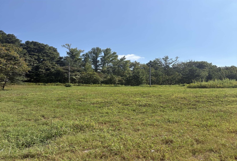 001 HANCOCK RD, Ripley, Tennessee 38063, 0 , 0 ,0,Land,For Sale,HANCOCK,0,10228902
