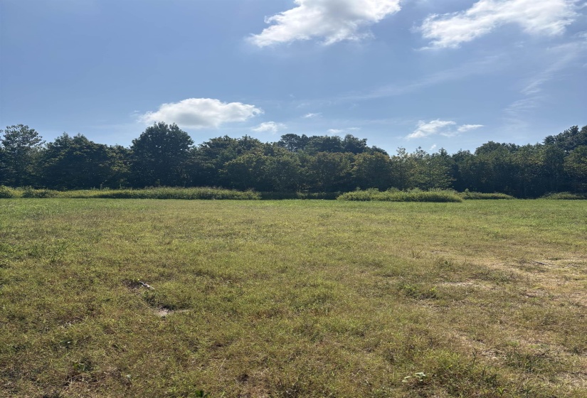 002 HANCOCK RD, Ripley, Tennessee 38063, 0 , 0 ,0,Land,For Sale,HANCOCK,0,10228904
