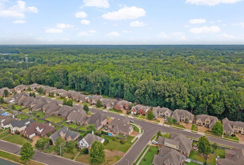 234 RED SEA DR, Collierville, Tennessee 38017, 3 Bedroom Bedrooms, 8 Room Rooms,2.1 BathroomBathrooms,Residential,For Sale,RED SEA,0,10228900