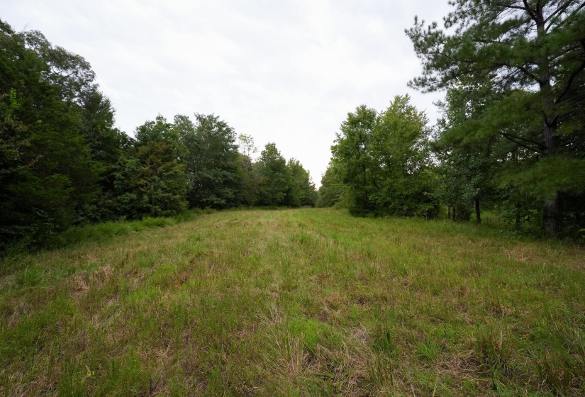 2525 PITTMAN RD, Somerville, Tennessee 38068, 4 Bedroom Bedrooms, 4 Room Rooms,2 BathroomBathrooms,Residential,For Sale,PITTMAN,0,10228938