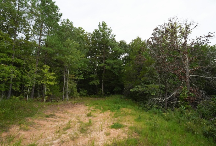2525 PITTMAN RD, Somerville, Tennessee 38068, 4 Bedroom Bedrooms, 4 Room Rooms,2 BathroomBathrooms,Residential,For Sale,PITTMAN,0,10228938