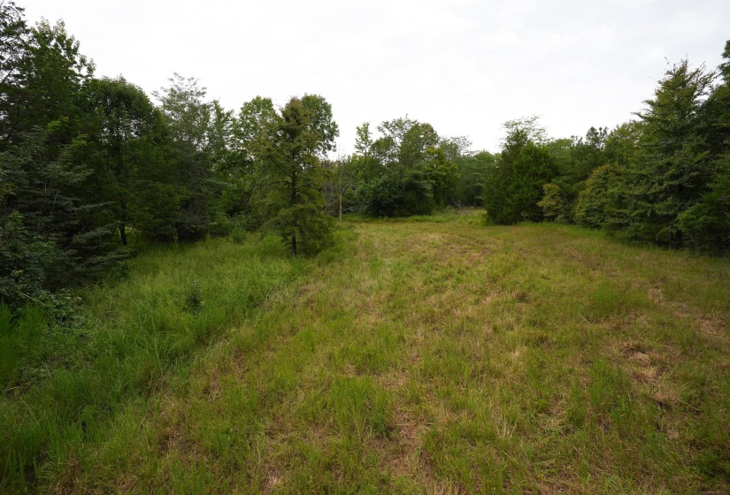 2525 PITTMAN RD, Somerville, Tennessee 38068, 4 Bedroom Bedrooms, 4 Room Rooms,2 BathroomBathrooms,Residential,For Sale,PITTMAN,0,10228938