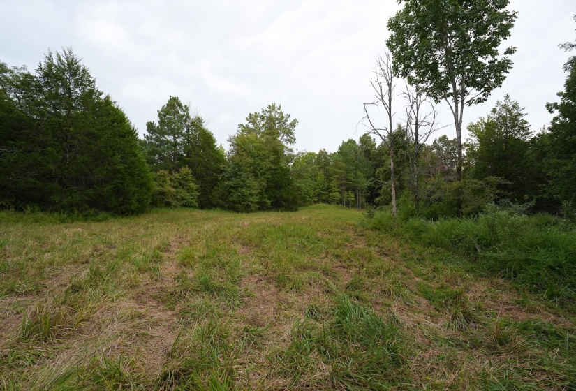 2525 PITTMAN RD, Somerville, Tennessee 38068, 4 Bedroom Bedrooms, 4 Room Rooms,2 BathroomBathrooms,Residential,For Sale,PITTMAN,0,10228938
