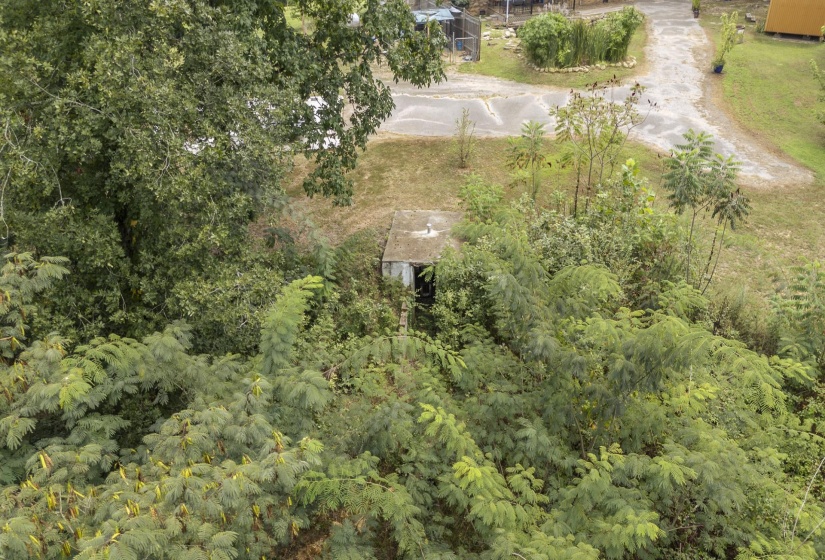 155 LEWTER RD, Crump, Tennessee 38327, 3 Bedroom Bedrooms, 7 Room Rooms,2 BathroomBathrooms,Residential,For Sale,LEWTER,0,10228981