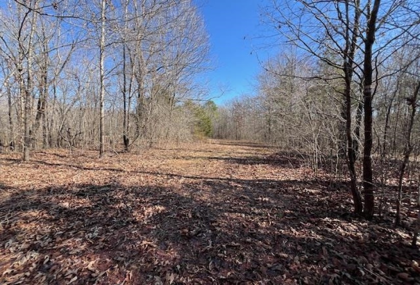 HAYS RD, Moscow, Tennessee 38057, 0 , 0 ,0,Land,For Sale,HAYS,0,10228993