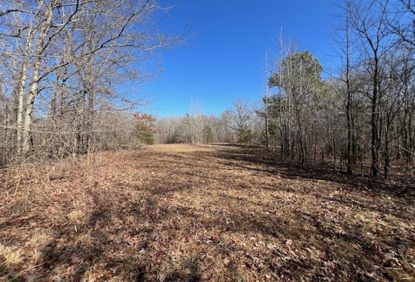 HAYS RD, Moscow, Tennessee 38057, 0 , 0 ,0,Land,For Sale,HAYS,0,10228993