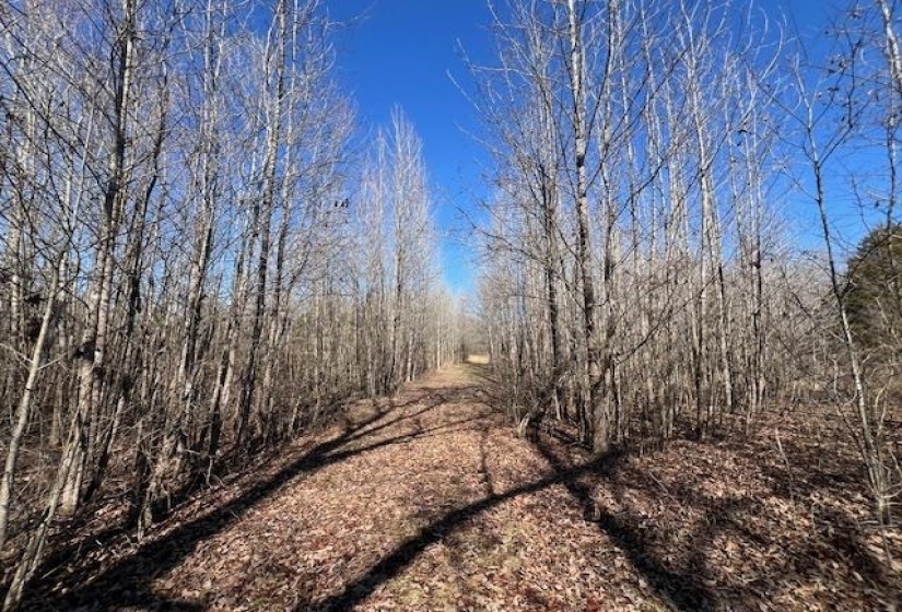 HAYS RD, Moscow, Tennessee 38057, 0 , 0 ,0,Land,For Sale,HAYS,0,10228993