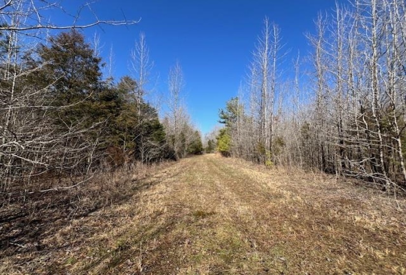 HAYS RD, Moscow, Tennessee 38057, 0 , 0 ,0,Land,For Sale,HAYS,0,10228993
