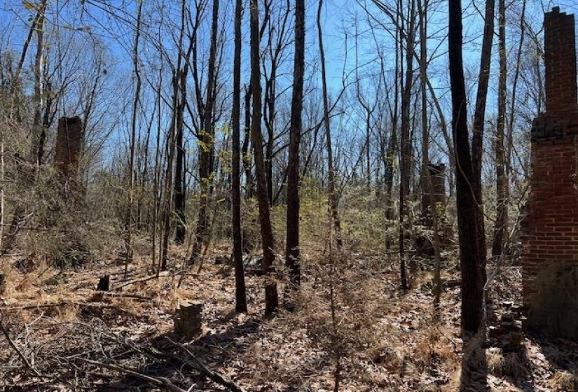 HAYS RD, Moscow, Tennessee 38057, 0 , 0 ,0,Land,For Sale,HAYS,0,10228993