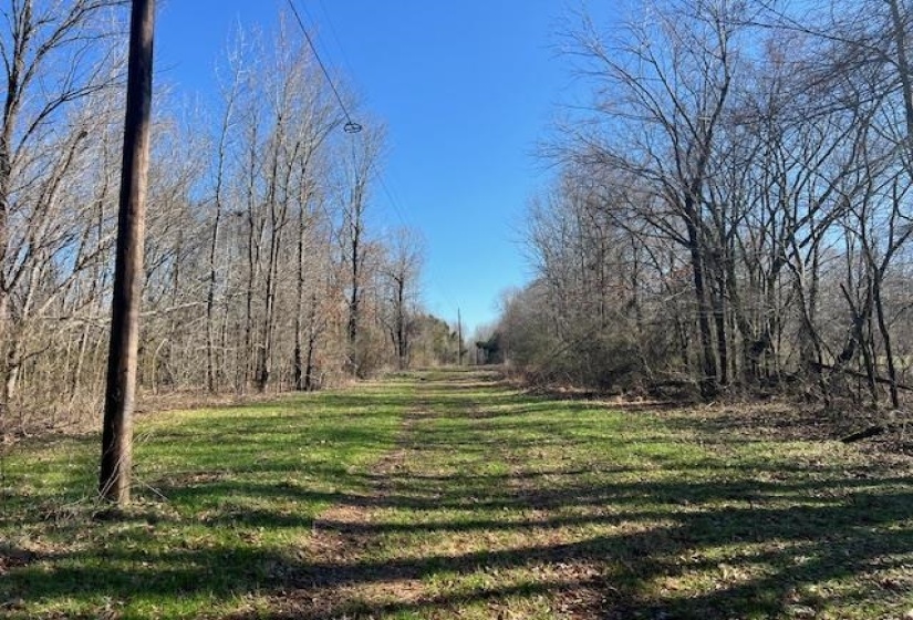 HAYS RD, Moscow, Tennessee 38057, 0 , 0 ,0,Land,For Sale,HAYS,0,10228993