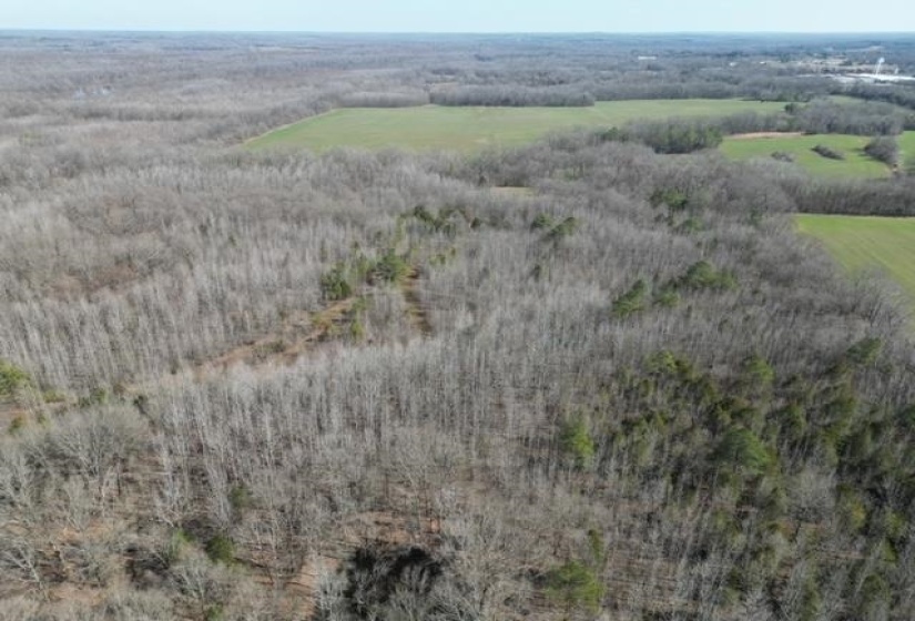 HAYS RD, Moscow, Tennessee 38057, 0 , 0 ,0,Land,For Sale,HAYS,0,10228993