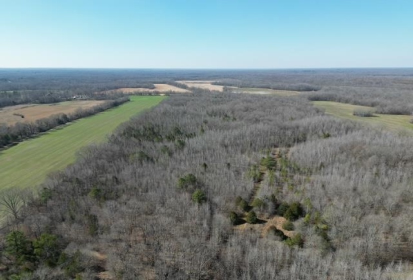 HAYS RD, Moscow, Tennessee 38057, 0 , 0 ,0,Land,For Sale,HAYS,0,10228993