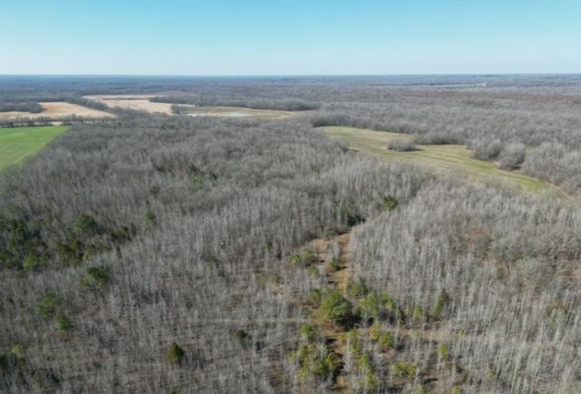 HAYS RD, Moscow, Tennessee 38057, 0 , 0 ,0,Land,For Sale,HAYS,0,10228993
