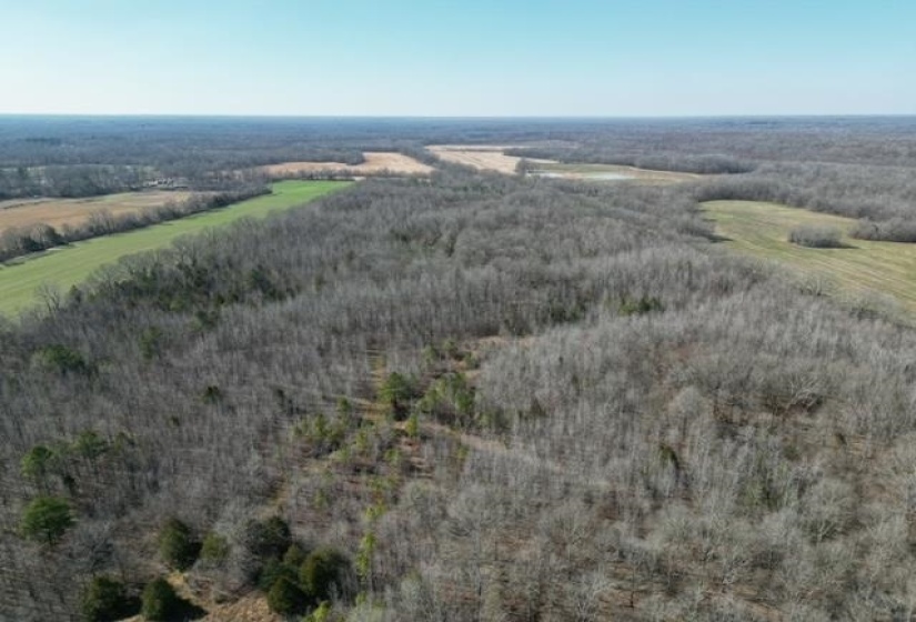 HAYS RD, Moscow, Tennessee 38057, 0 , 0 ,0,Land,For Sale,HAYS,0,10228993