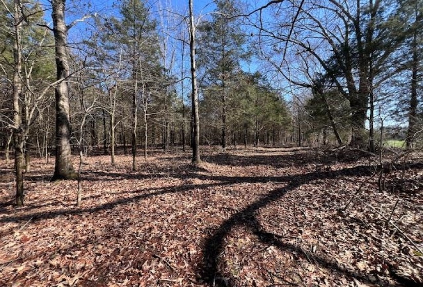 HAYS RD, Moscow, Tennessee 38057, 0 , 0 ,0,Land,For Sale,HAYS,0,10228993