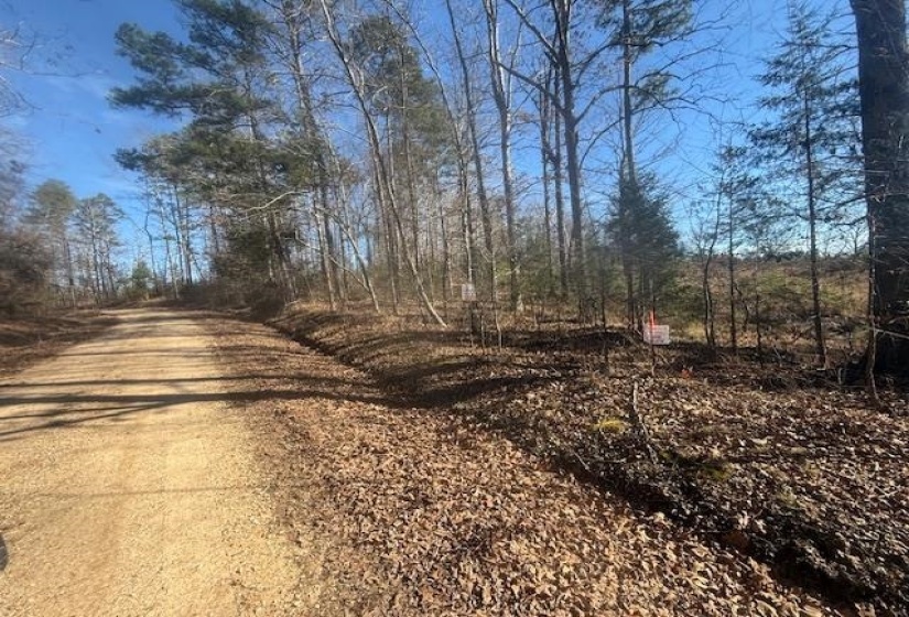 TRACT 5 GEORGE WALTER RD, Bolivar, Tennessee 38008, 0 , 0 ,0,Land,For Sale,GEORGE WALTER,0,10229000