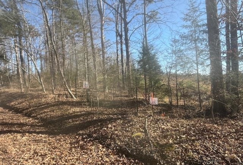 TRACT 5 GEORGE WALTER RD, Bolivar, Tennessee 38008, 0 , 0 ,0,Land,For Sale,GEORGE WALTER,0,10229000