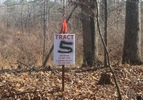 TRACT 5 GEORGE WALTER RD, Bolivar, Tennessee 38008, 0 , 0 ,0,Land,For Sale,GEORGE WALTER,0,10229000