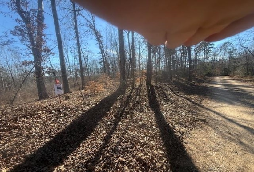 TRACT 5 GEORGE WALTER RD, Bolivar, Tennessee 38008, 0 , 0 ,0,Land,For Sale,GEORGE WALTER,0,10229000