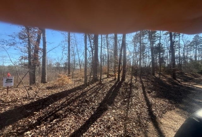 TRACT 5 GEORGE WALTER RD, Bolivar, Tennessee 38008, 0 , 0 ,0,Land,For Sale,GEORGE WALTER,0,10229000