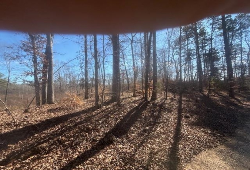 TRACT 5 GEORGE WALTER RD, Bolivar, Tennessee 38008, 0 , 0 ,0,Land,For Sale,GEORGE WALTER,0,10229000
