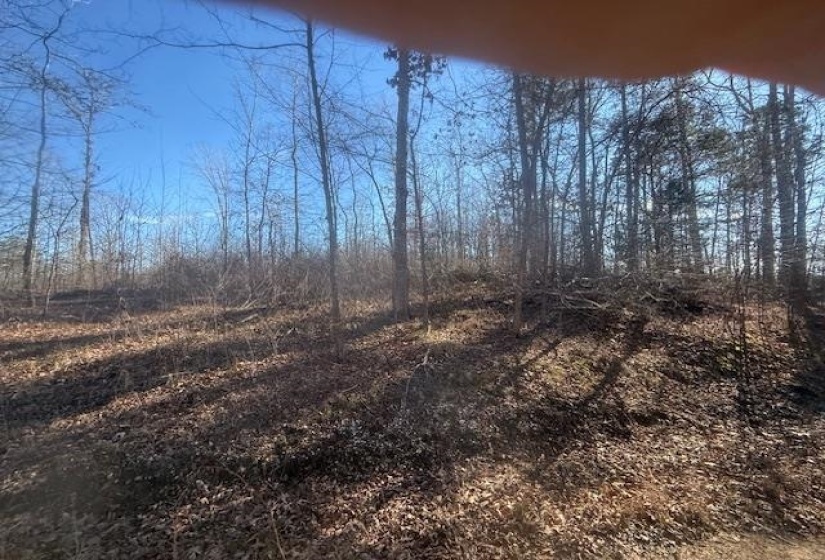 TRACT 5 GEORGE WALTER RD, Bolivar, Tennessee 38008, 0 , 0 ,0,Land,For Sale,GEORGE WALTER,0,10229000