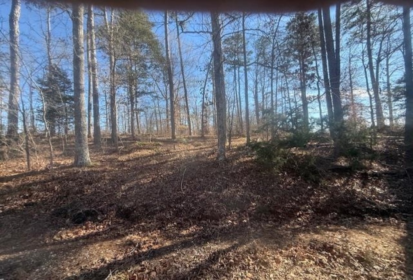 TRACT 5 GEORGE WALTER RD, Bolivar, Tennessee 38008, 0 , 0 ,0,Land,For Sale,GEORGE WALTER,0,10229000