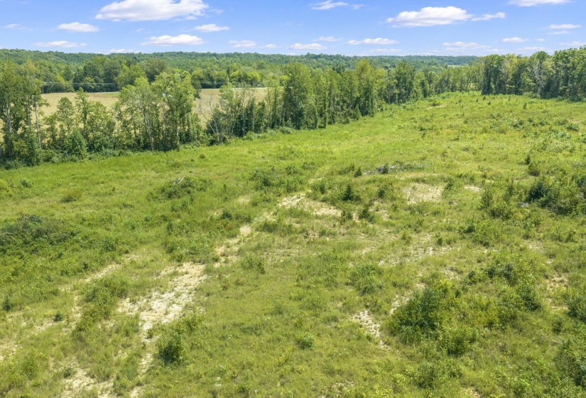 6032 BROOKSIE THOMPSON RD, Decaturville, Tennessee 38329, 0 , 0 ,0,Land,For Sale,BROOKSIE THOMPSON,0,10229034