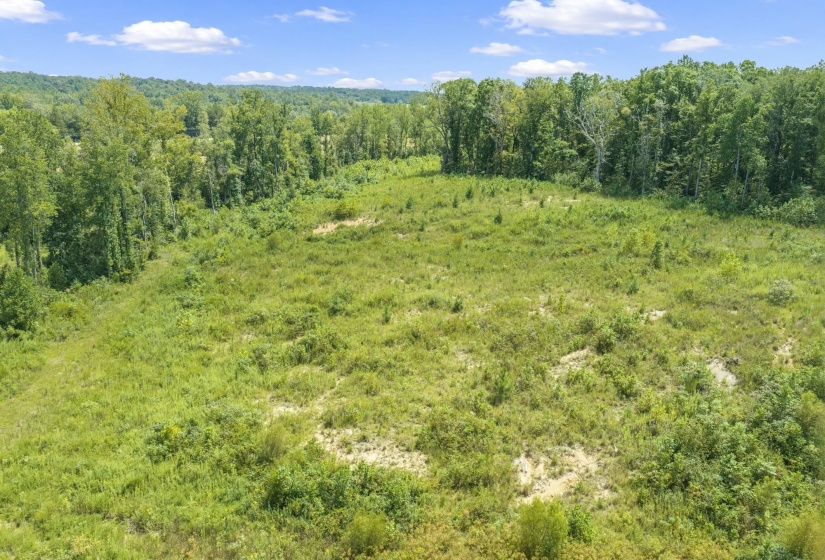 6032 BROOKSIE THOMPSON RD, Decaturville, Tennessee 38329, 0 , 0 ,0,Land,For Sale,BROOKSIE THOMPSON,0,10229034