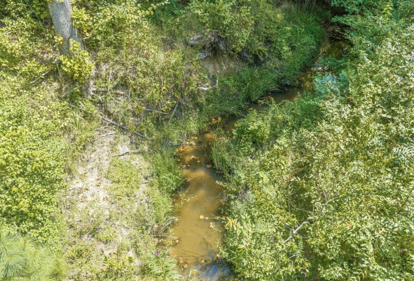 6032 BROOKSIE THOMPSON RD, Decaturville, Tennessee 38329, 0 , 0 ,0,Land,For Sale,BROOKSIE THOMPSON,0,10229034