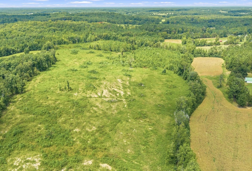 6032 BROOKSIE THOMPSON RD, Decaturville, Tennessee 38329, 0 , 0 ,0,Land,For Sale,BROOKSIE THOMPSON,0,10229034