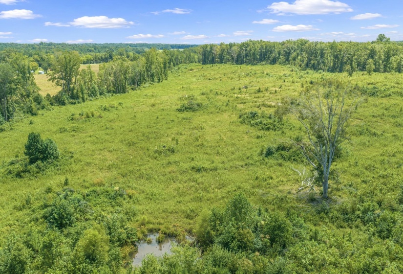 6032 BROOKSIE THOMPSON RD, Decaturville, Tennessee 38329, 0 , 0 ,0,Land,For Sale,BROOKSIE THOMPSON,0,10229034
