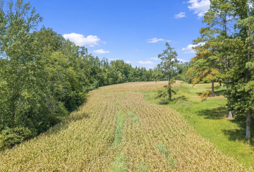 6032 BROOKSIE THOMPSON RD, Decaturville, Tennessee 38329, 0 , 0 ,0,Land,For Sale,BROOKSIE THOMPSON,0,10229034
