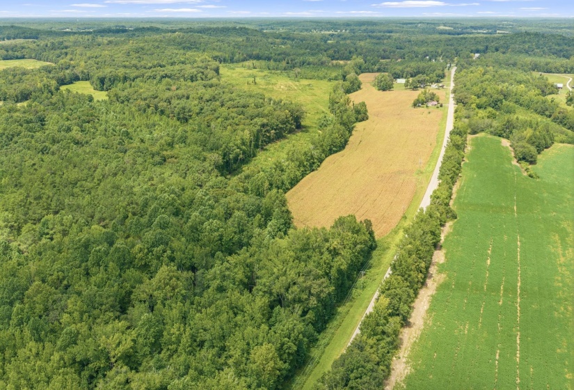 6032 BROOKSIE THOMPSON RD, Decaturville, Tennessee 38329, 0 , 0 ,0,Land,For Sale,BROOKSIE THOMPSON,0,10229034