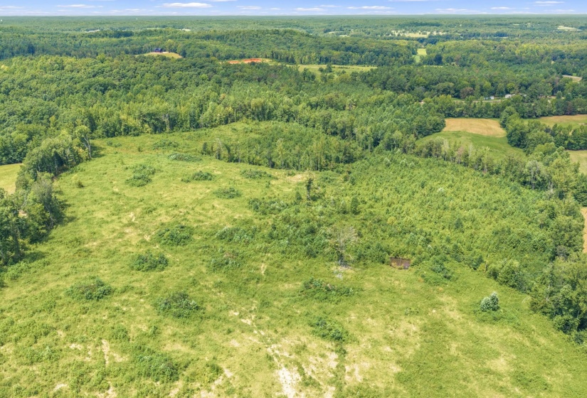 6032 BROOKSIE THOMPSON RD, Decaturville, Tennessee 38329, 0 , 0 ,0,Land,For Sale,BROOKSIE THOMPSON,0,10229034