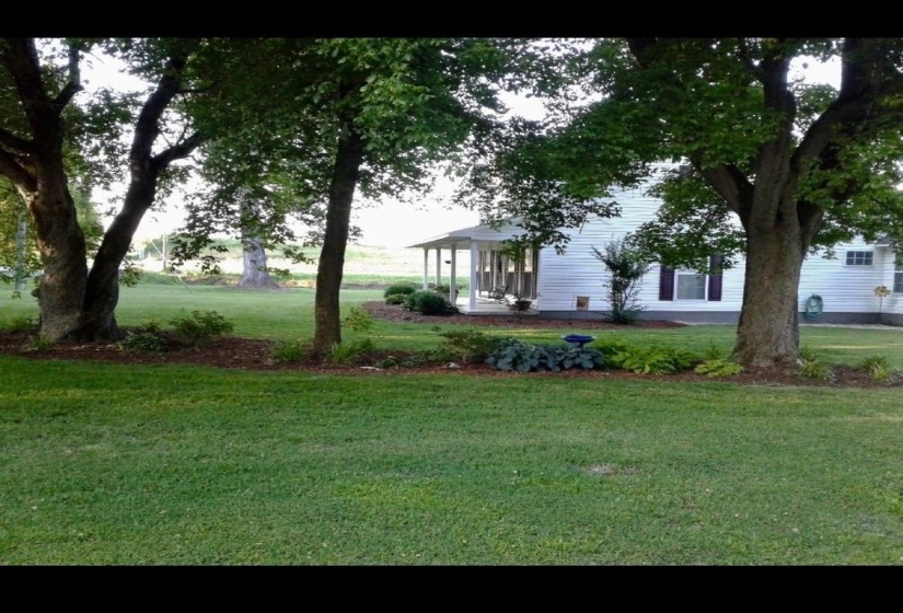 20 PENNINGTON RD, Halls, Tennessee 38037, 6 Bedroom Bedrooms, 15 Room Rooms,4 BathroomBathrooms,Residential,For Sale,PENNINGTON,0,10229036