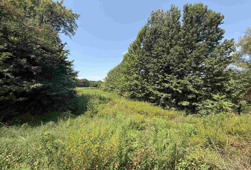 0 CRAD BASKIN DR, Burlison, Tennessee 38015, 0 , 0 ,0,Land,For Sale,CRAD BASKIN,0,10229056