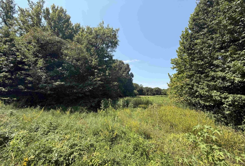 0 CRAD BASKIN DR, Burlison, Tennessee 38015, 0 , 0 ,0,Land,For Sale,CRAD BASKIN,0,10229056