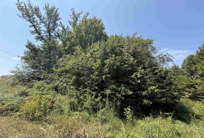 0 CRAD BASKIN DR, Burlison, Tennessee 38015, 0 , 0 ,0,Land,For Sale,CRAD BASKIN,0,10229056