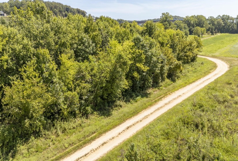 3-33 COLONEL JAMES HARDIN DR, Clifton, Tennessee 38425, 0 , 0 ,0,Land,For Sale,COLONEL JAMES HARDIN,0,10229057