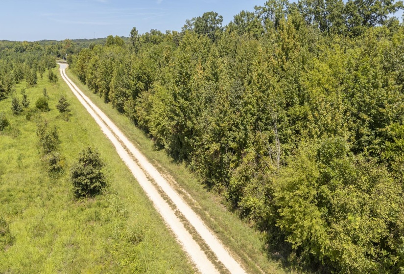 3-33 COLONEL JAMES HARDIN DR, Clifton, Tennessee 38425, 0 , 0 ,0,Land,For Sale,COLONEL JAMES HARDIN,0,10229057