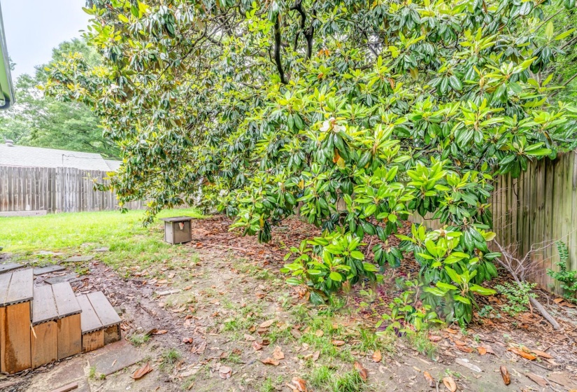 4890 HELENE RD, Memphis, Tennessee 38117, 3 Bedroom Bedrooms, 6 Room Rooms,2 BathroomBathrooms,Residential,For Sale,HELENE,0,10229070
