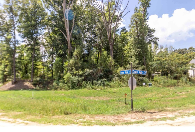 150 CROWN VISTA CV, Piperton, Tennessee 38017, 0 , 0 ,0,Land,For Sale,CROWN VISTA,0,10229105