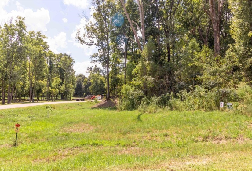 150 CROWN VISTA CV, Piperton, Tennessee 38017, 0 , 0 ,0,Land,For Sale,CROWN VISTA,0,10229105