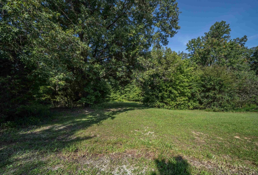 9500 HWY 104 HWY, Cedar Grove, Tennessee 38321, 0 , 0 ,0,Land,For Sale,HWY 104,0,10229130